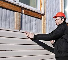 Best Siding Painting and Refinishing  in Springfield, TN